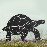 Black Sheet Steel Silhouette with Galápagos Giant Tortoise Design Black Sheet Steel Silhouette with Galápagos Giant Tortoise Design