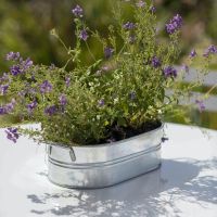 Galvanised Steel Trough Planter in Situ