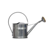 Traditional Watering Can in a Galvanised Finish