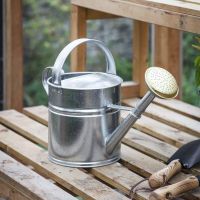 Galvanised Traditional Watering Can in Situ Galvanised Traditional Watering Can in Situ