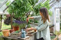 Gardening hand trowel with wooden handle Gardening hand trowel with wooden handle