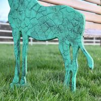 Close up of giraffe detailing 