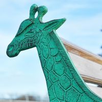 Close up of giraffe head 