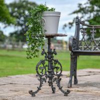 Gothic "Serpent" Aged Black Side Table