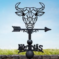 Cast Iron & Steel Weathervane with Geometric Bull Topper