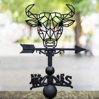 Geometric Bull Weathervane in Situ