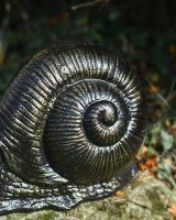 Giant snail garden sculpture close up