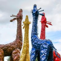 Colourful Metal Giraffe Sculptures Colourful Metal Giraffe Sculptures