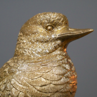 Close-up of the Gold Finish on the Birds Face