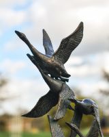 Close up of Flock of Flying Ducks Garden Sculpture 