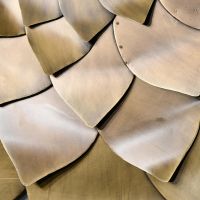 Close-up of the Golden Petals on the Flower Mirror Close-up of the Golden Petals on the Flower Mirror