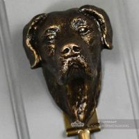 Close-up of the Great Dane"s Fave