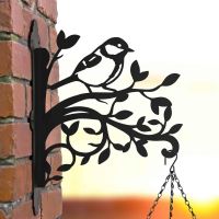 Great Tit on Branches Steel Hanging Basket Bracket in Situ Great Tit on Branches Steel Hanging Basket Bracket in Situ