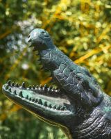 Close Up of Alligator Face 