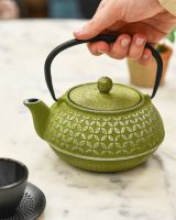 Cast Iron Green and Silver Teapot In Use 