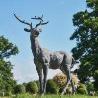 Grey Standing Stag Sculpture in Use in the Garden