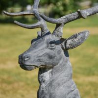 Close-up of the Head of the Grey Standing Stag Sculpture