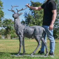 Grey Standing Stag Sculpture to Scale
