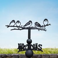 Group of sparrows weathervane on a sunny day