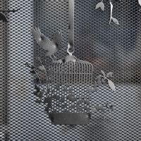 Close up of Birdcage with mesh netting Close up of Birdcage with mesh netting