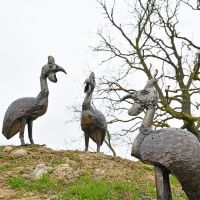 Group of Guinea Fowl Garden Sculptures in the Garden Group of Guinea Fowl Garden Sculptures in the Garden