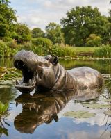 Half Hippo Water Sculpture digital illustration