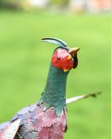 Recycled Metal "Rocking Pheasant" Garden Spike 