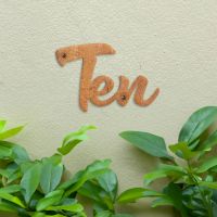 Rustic Handwritten House Number Sign on green wall