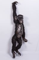 "Tarungo" Hanging Chimp Garden Sculpture