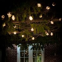 Hanging Bulb Lights in Use at Night