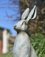 Close up of intricate head detail on rabbit garden sculpture