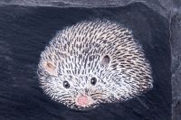 "Helmsford House" Hedgehog Slate House Number Sign "Helmsford House" Hedgehog Slate House Number Sign