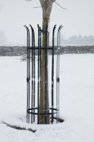 “Hercules” Tree Guard