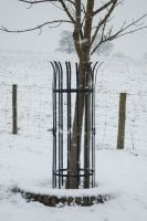 “Hercules” Tree Guard