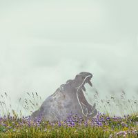 Natural Steel Hippo Head Silhouette in Situ