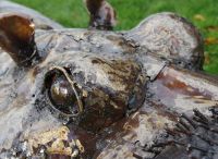 “Horace” " Hidey Hippo" Garden Sculpture and Decoration