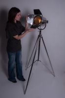 Stainless Steel “Hollywood House" Studio Style Tripod Light
