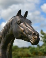 Close up of intricate horse head detail