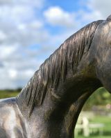 Close up of mane detail on garden statue