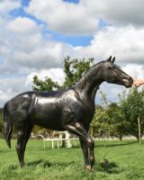 Scale image of cast aluminium horse garden sculpture
