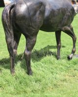 Close up of body detail on equestrian garden statue