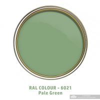 Pale Green - Ral Number 6021