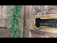 Dogs Running Loose Brass Gate Sign