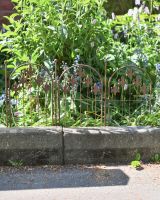 In situ photo of decorative lawn edging