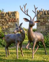 Deer Set Of 2 Buck And Doe - Antique Finish Digital Illustration Deer Set Of 2 Buck And Doe - Antique Finish Digital Illustration