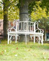 Low angle image of tree bench