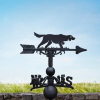 Irish setter weathervane on a sunny day Irish setter weathervane on a sunny day