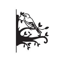 Close-Up of Jay on Branches Steel Hanging Basket Bracket