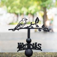 Jay weathervane in the park