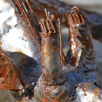 Close up of metal horns